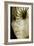 Nautilus And Woman's Face-Hannah Gal-Framed Photographic Print