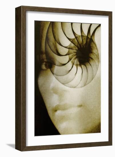 Nautilus And Woman's Face-Hannah Gal-Framed Photographic Print