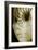 Nautilus And Woman's Face-Hannah Gal-Framed Photographic Print