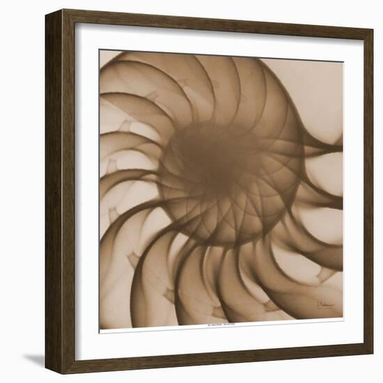 Nautilus Close-Up-Albert Koetsier-Framed Art Print