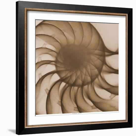 Nautilus Close-Up-Albert Koetsier-Framed Art Print