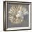 Nautilus I-Mark Chandon-Framed Giclee Print