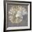 Nautilus I-Mark Chandon-Framed Giclee Print