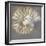 Nautilus I-Mark Chandon-Framed Giclee Print