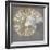 Nautilus I-Mark Chandon-Framed Giclee Print