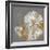 Nautilus II-Mark Chandon-Framed Giclee Print