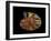 Nautilus III-LightBoxJournal-Framed Giclee Print