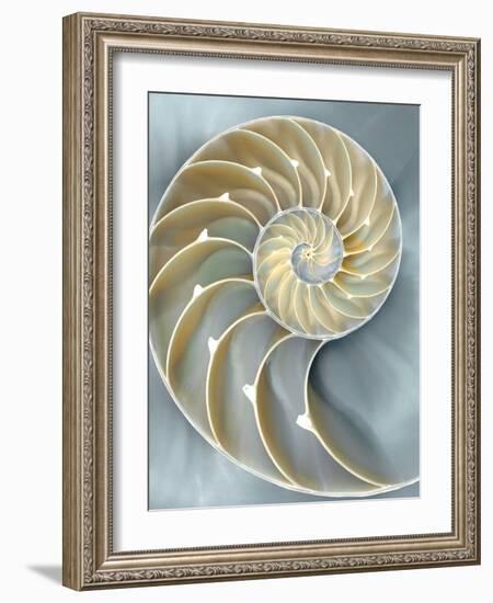 Nautilus in Blue I-Caroline Kelly-Framed Art Print