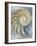 Nautilus in Blue I-Caroline Kelly-Framed Art Print