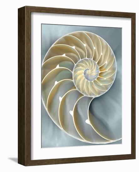 Nautilus in Blue I-Caroline Kelly-Framed Art Print