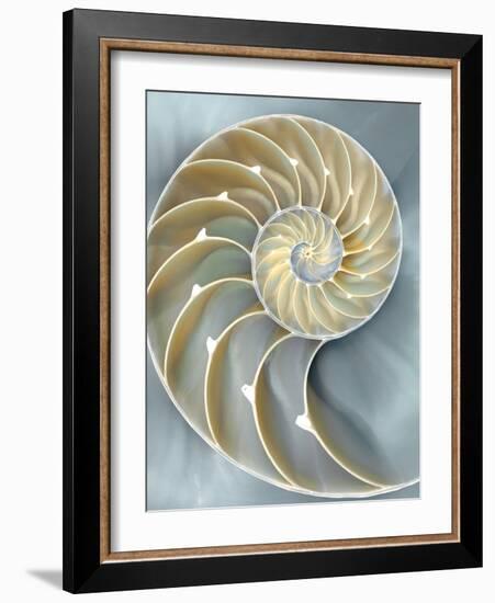 Nautilus in Blue I-Caroline Kelly-Framed Art Print