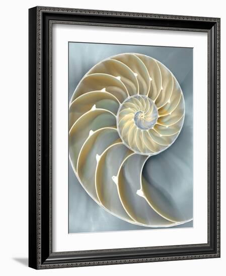 Nautilus in Blue I-Caroline Kelly-Framed Art Print