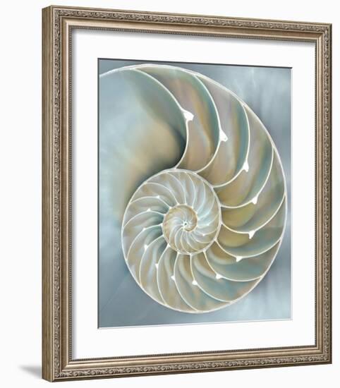 Nautilus in Blue II-Caroline Kelly-Framed Giclee Print