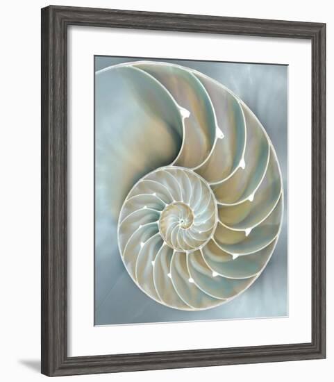 Nautilus in Blue II-Caroline Kelly-Framed Giclee Print