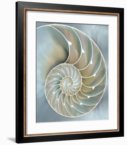 Nautilus in Blue II-Caroline Kelly-Framed Giclee Print