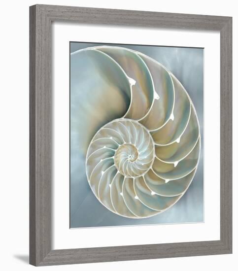 Nautilus in Blue II-Caroline Kelly-Framed Giclee Print