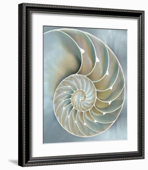 Nautilus in Blue II-Caroline Kelly-Framed Giclee Print