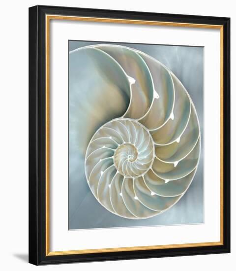 Nautilus in Blue II-Caroline Kelly-Framed Giclee Print