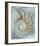 Nautilus in Blue II-Caroline Kelly-Framed Giclee Print