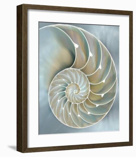 Nautilus in Blue II-Caroline Kelly-Framed Giclee Print