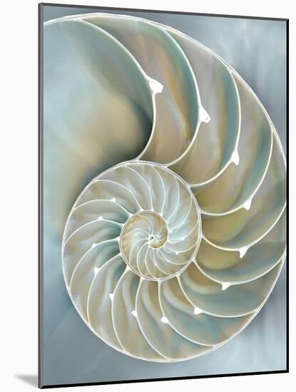 Nautilus in Blue II-Caroline Kelly-Mounted Art Print