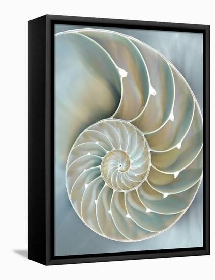 Nautilus in Blue II-Caroline Kelly-Framed Stretched Canvas