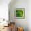 Nautilus in Green II-Sharon Gordon-Framed Art Print displayed on a wall