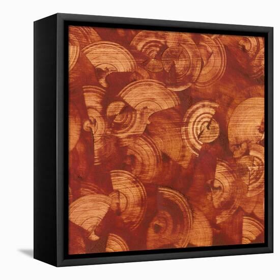 Nautilus in Rust I-Sharon Gordon-Framed Stretched Canvas