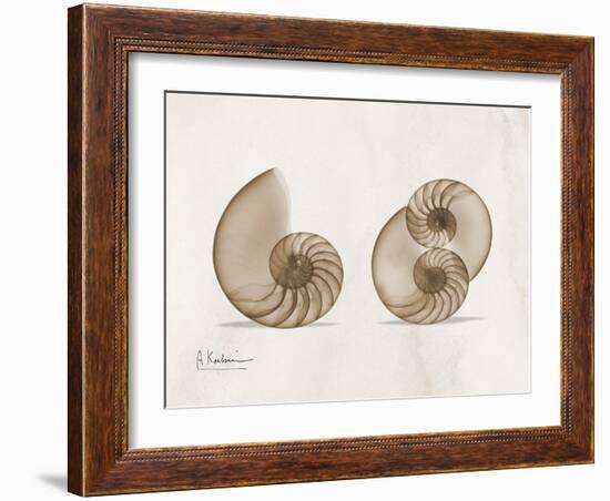 Nautilus Moments-Albert Koetsier-Framed Art Print