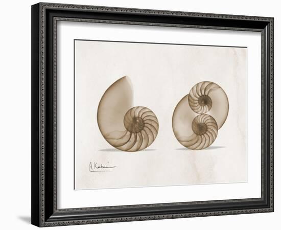 Nautilus Moments-Albert Koetsier-Framed Art Print