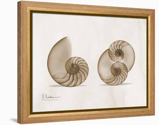 Nautilus Moments-Albert Koetsier-Framed Stretched Canvas