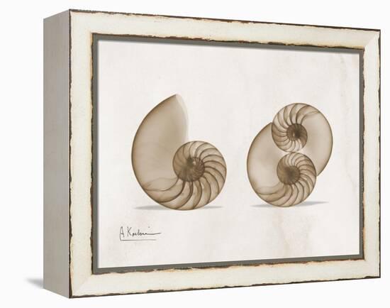 Nautilus Moments-Albert Koetsier-Framed Stretched Canvas