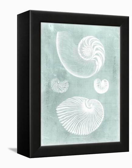 Nautilus on Spa II-Vision Studio-Framed Stretched Canvas
