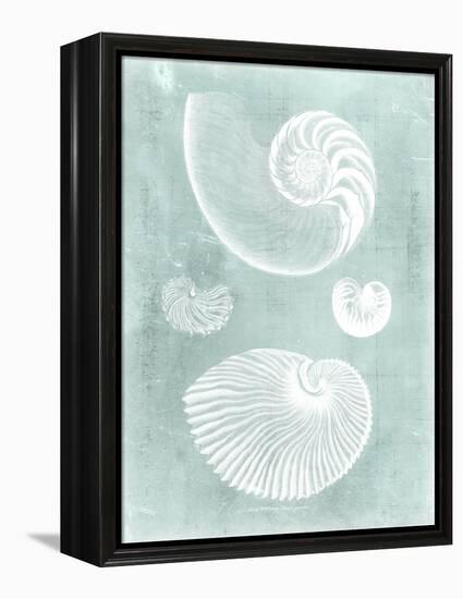 Nautilus on Spa II-Vision Studio-Framed Stretched Canvas