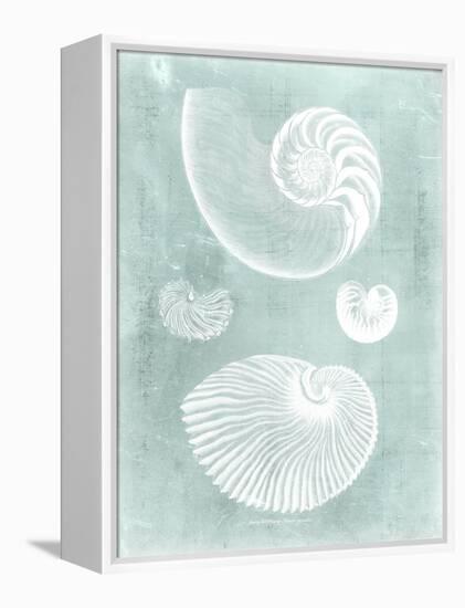 Nautilus on Spa II-Vision Studio-Framed Stretched Canvas