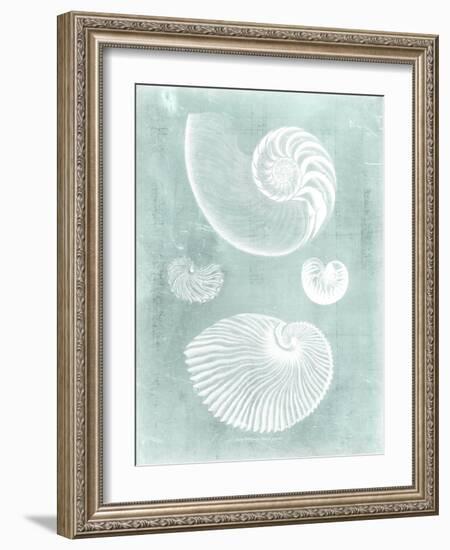 Nautilus on Spa II-Vision Studio-Framed Art Print