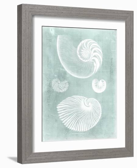 Nautilus on Spa II-Vision Studio-Framed Art Print