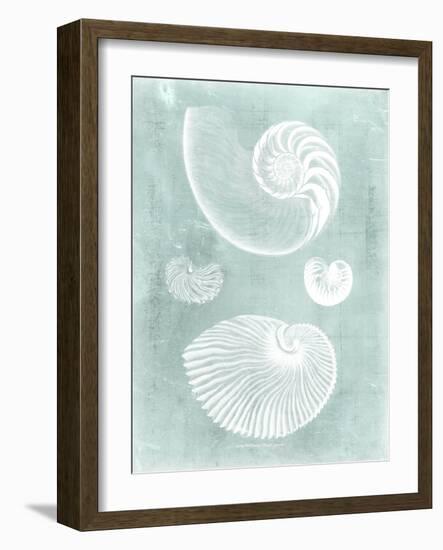 Nautilus on Spa II-Vision Studio-Framed Art Print