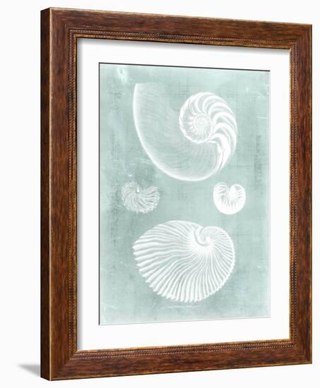 Nautilus on Spa II-Vision Studio-Framed Art Print