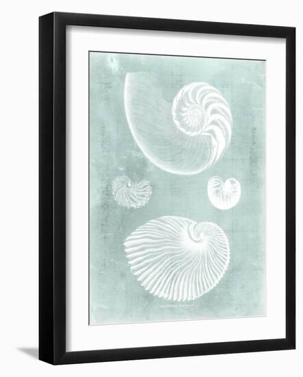 Nautilus on Spa II-Vision Studio-Framed Art Print