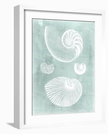 Nautilus on Spa II-Vision Studio-Framed Art Print