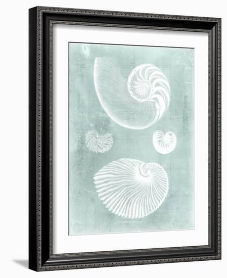 Nautilus on Spa II-Vision Studio-Framed Art Print