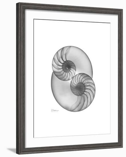 Nautilus Pair 2-Albert Koetsier-Framed Premium Giclee Print