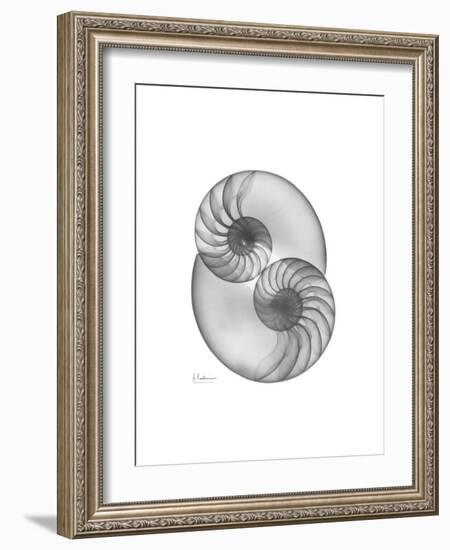 Nautilus Pair 2-Albert Koetsier-Framed Premium Giclee Print