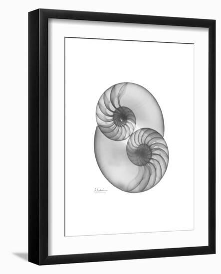 Nautilus Pair 2-Albert Koetsier-Framed Premium Giclee Print