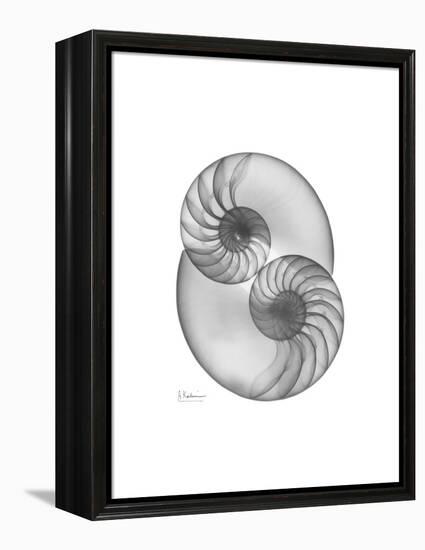 Nautilus Pair 2-Albert Koetsier-Framed Stretched Canvas
