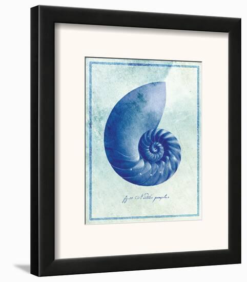 Nautilus Shell B-null-Framed Art Print