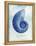 Nautilus Shell B-GI ArtLab-Framed Premier Image Canvas