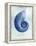 Nautilus Shell B-GI ArtLab-Framed Premier Image Canvas