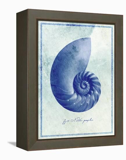 Nautilus Shell B-GI ArtLab-Framed Premier Image Canvas